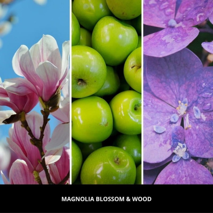 magnolia-blossom-wood-paleczki-zapachowe-250-ml-millefiori-milano (1).jpg