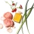 Aromatherapy Associates Rose Bath & Shower Oil różany olejek do kąpieli 55 ml