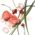 Aromatherapy Associates Rose Triple Exfoliator różany peeling do twarzy i ciała 200 ml