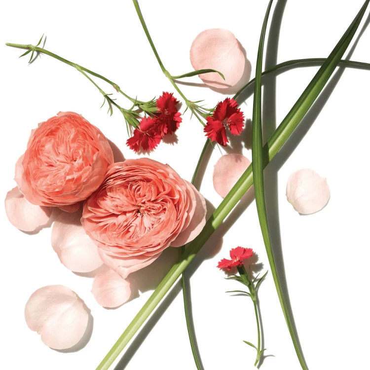 Aromatherapy Associates Rose Triple Exfoliator różany peeling do twarzy i ciała 200 ml