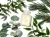 Aromatherapy Associates Support Breathe Bath & Shower Oil ułatwiający oddychanie olejek do kąpieli 5