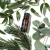 Aromatherapy Associates Breathe Pure Essential Oil Blend ułatwiający oddychanie olejek do inhalacji 